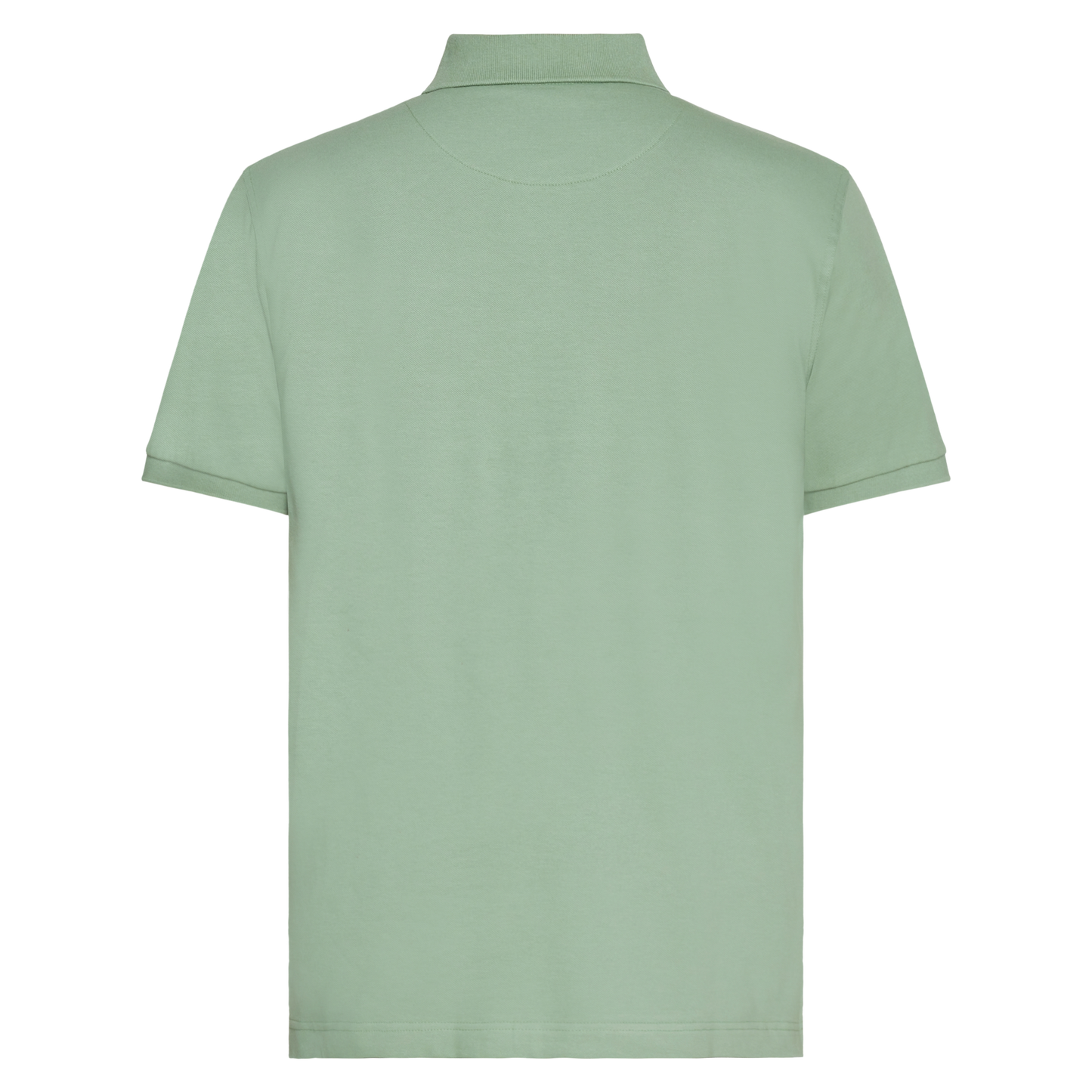 NickySi + Polo - Green Bay