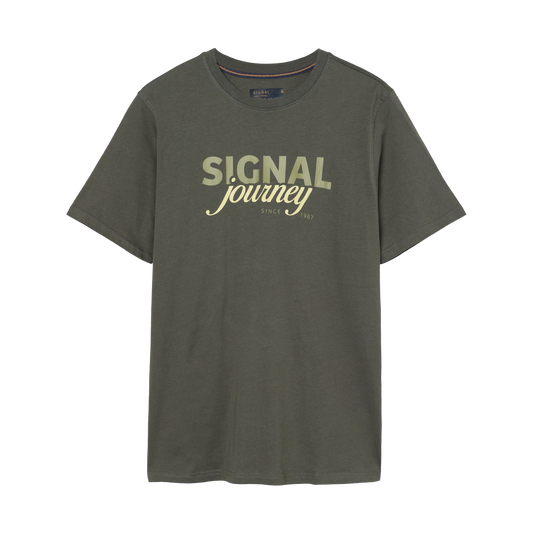 DizzySi Logo Tee + T-shir/Top - Beluga green